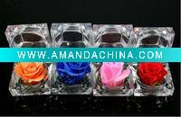 Wholesale wedding gifts and favors