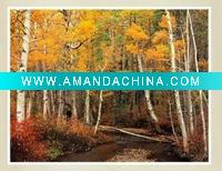 Wholesale Decorative giclee oil painting
