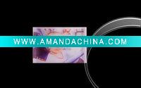 Wholesale High quality acrylic photo frame with fashional design