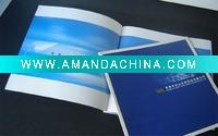 OEM album of painting