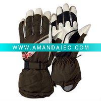 Wholesale 2011 New Hot Sale Fashion coldproof snowboard glove