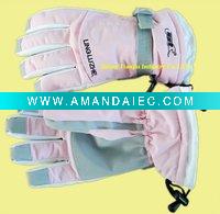 Wholesale 2011 New Hot Sale Fashion ski glove snowboard glove