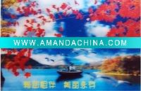 Wholesale china stereo 3d card