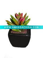 Wholesale 2011 Hot Artificial Mini Bonsai Artificial Succulent Plant