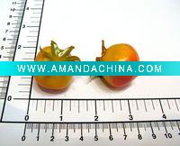 Wholesale Small Artificial Fruit