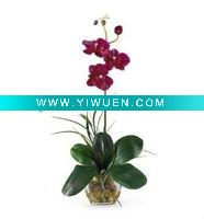 Wholesale silk pot-planting