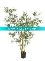 Wholesale ornamental bush