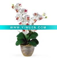 Wholesale hand-made layer planting