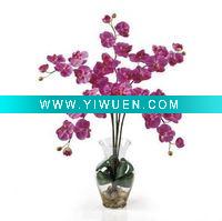Wholesale cheap layer flora