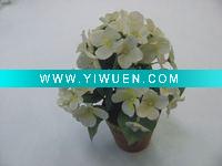 Wholesale coloured pot-planting