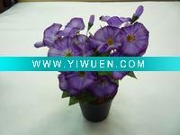 Wholesale chamber pot-planting