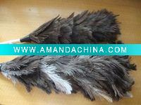 ostrich hair duster