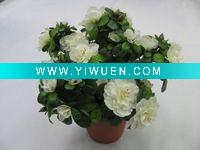 false pot-planting