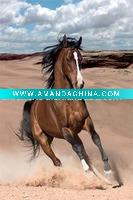 Wholesale 3d craft horse picture1104