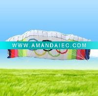 Wholesale kites /power kites /promotional kites