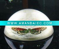 Wholesale butterfly glass paperweight