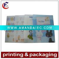 Wholesale pvc file folder for file packaging