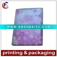 Wholesale stationary pvc file folder for packaging