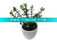 Wholesale 2011 Latest Decorative Artificial Plant