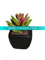 Wholesale 2011 Hot Artificial Mini Bonsai Artificial Succulent Plant