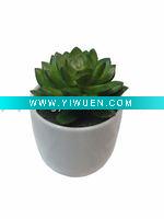 Wholesale Latest Decorative Artificial Succulent Plant Bonsai
