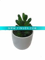 Wholesale 2011 New Decorative Artificial Succulent Plant Bonsai