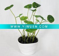 Wholesale Potted Artificial Flower/Plant in East and West Market