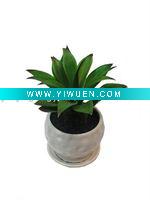 Wholesale 2011 Hot Decorative Artificial Succulent Plant