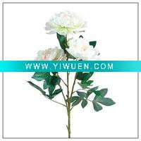 Wholesale artificial plants plastic flower royal peony BT02S50-5