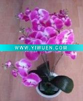 Wholesale flower plasticflowers