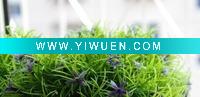 Wholesale purple flowers plastic flower