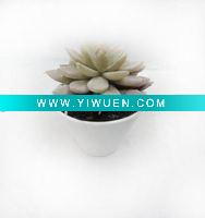 Wholesale Plastic Artificial Succulent Plant