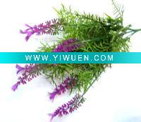 Wholesale hot sell lavender flower