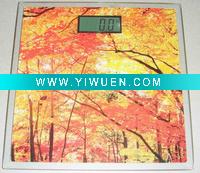 Wholesale Electronic Bathroom Scale (JBS-030)