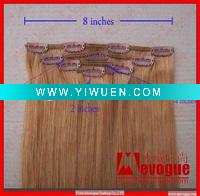 Wholesale Clip-in human hair extension