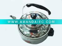 Wholesale electric stainless water kettle