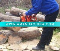 Wholesale Gasoline Saw/Chainsaw 38cc