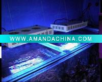 Wholesale superb hot aquarium led lighting cree