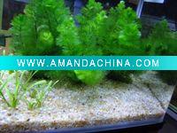 Wholesale Natrual Aquarium sand