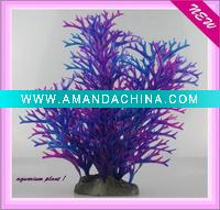 Wholesale aquarium plant