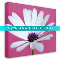 Wholesale Matte Oil Canvas 210gsm