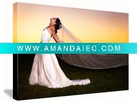 Wholesale Matte Cotton Canvas 260gsm
