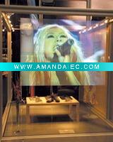 Wholesale Holographic Rear Projection Screen Film