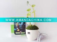 Wholesale inductive lamp toy