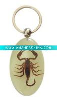 Wholesale New hot tattoo promotion gift--Real insect amber products