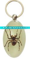 Wholesale New hot tattoo product--Real spider keychain