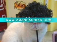 Wholesale Funny Curl Black Pet Wigs Hair