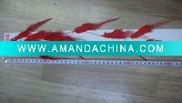 Wholesale 2011 fashion feather hair extension