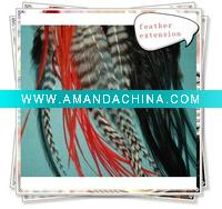 Wholesale 2011 HOT SELLING FEATHER HAIR EXTENSION