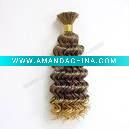Wholesale 2011 AAA grade Brazilian curly natural virgin bulk hair fashion design style popular in Eu and USA